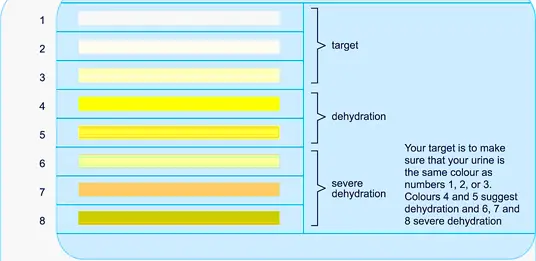 Use urine color to gauge your level of dehydration