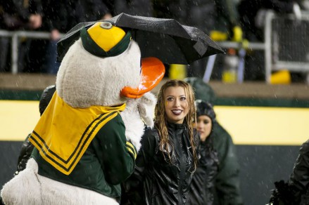 Photo Craig Strobeck Even with a wet and gloomy final four games to the season, the Duck provides shelter.