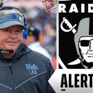 FD.chip_-300x300-cropped.jpg?p=209918