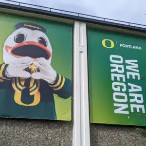 Snag_1f735c7f-300x300-cropped.png?p=2104